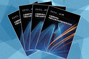 《从蓝图到伟业：中国企业数字化转型的思考与行动》